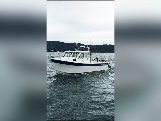 Listing image 212450