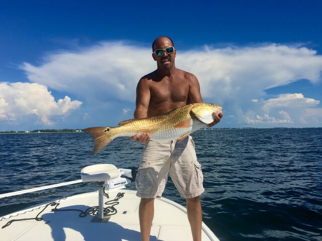 Listing image 875855