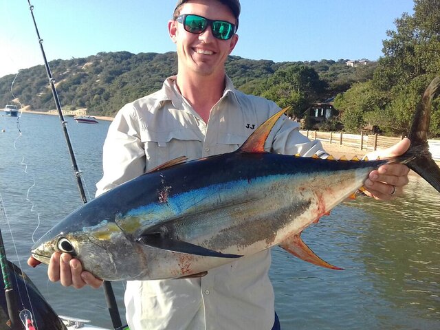 Listing image 238779