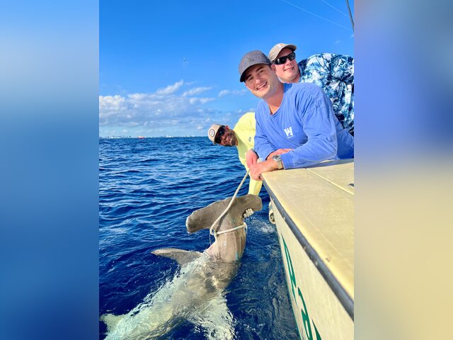 Listing image 994380