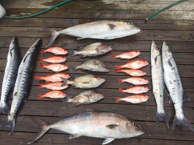 Listing image 135354