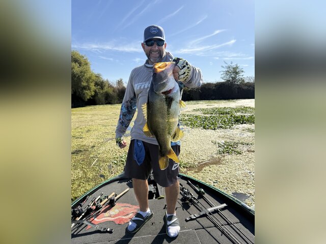 Listing image 1190992