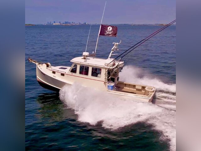 Listing image 1376520