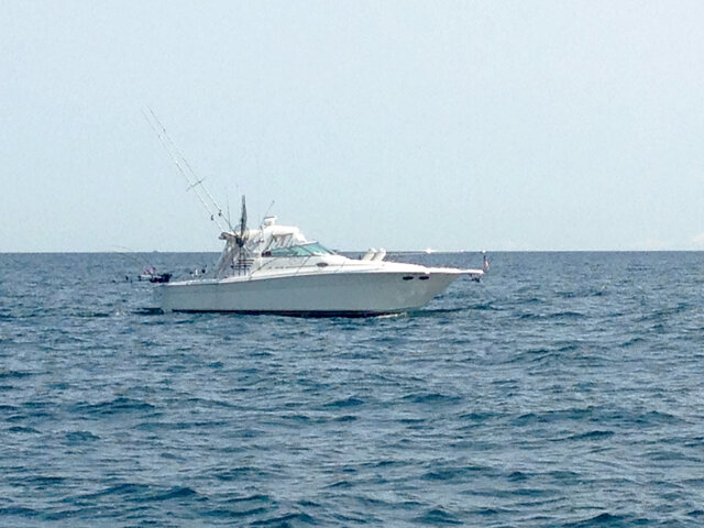 Listing image 145821