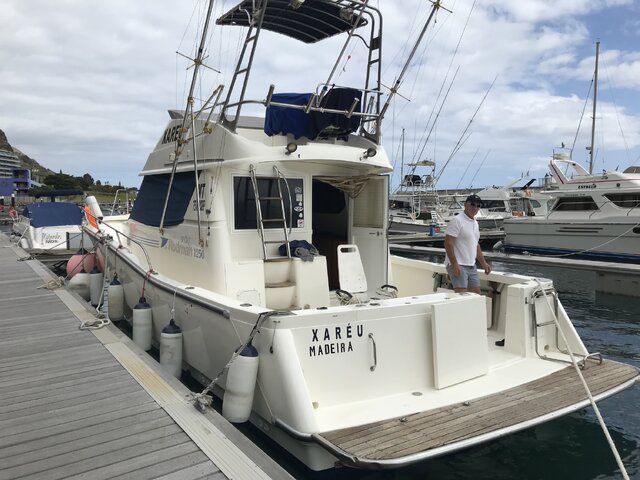 Listing image 369985