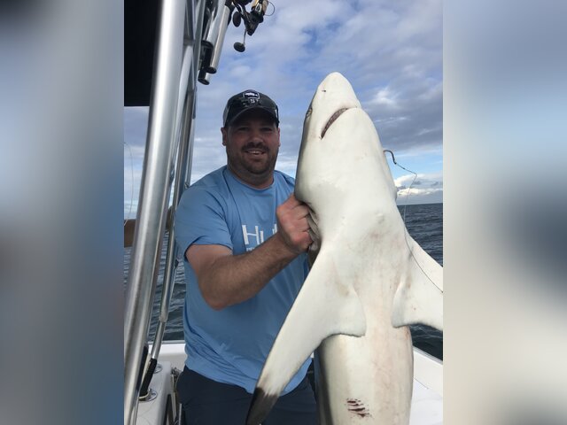 Listing image 236902