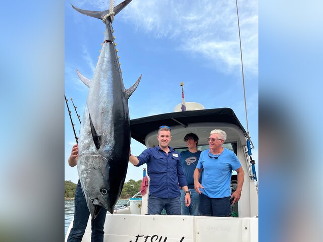 Listing image 846239