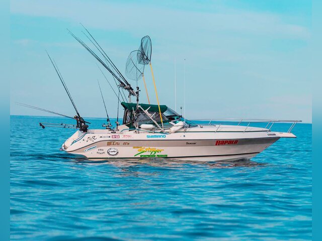 Listing image 150976