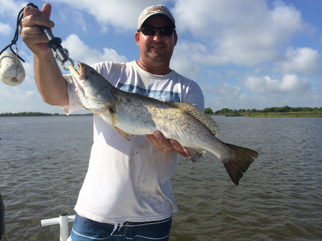 Listing image 149393