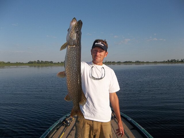 Listing image 144052