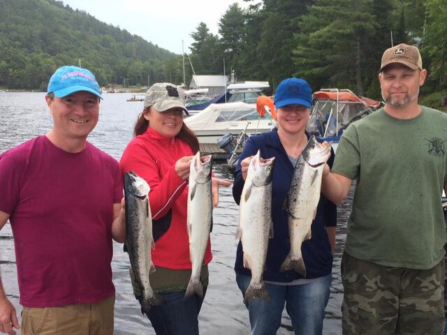 Listing image 156022