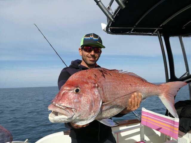 Listing image 180991