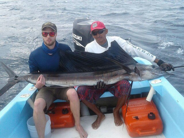 Listing image 156034