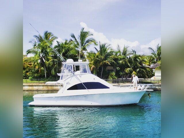 Listing image 162428