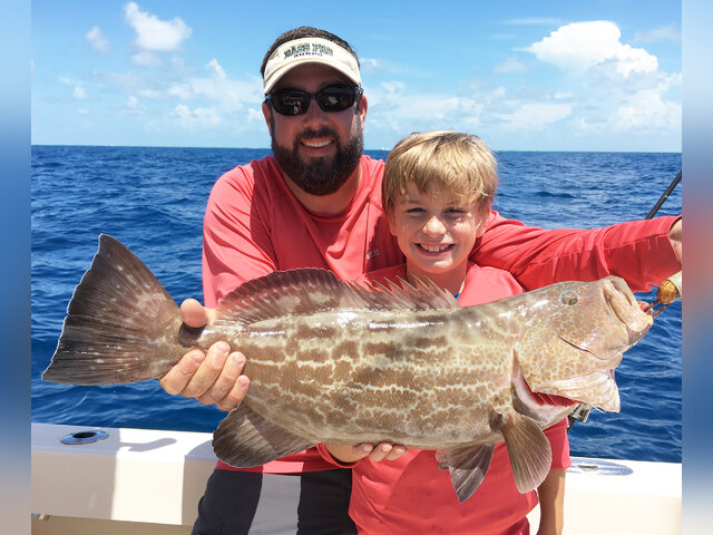 Listing image 165135