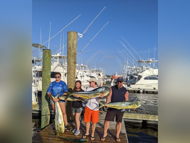 Listing image 831588