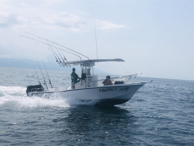 Listing image 596302