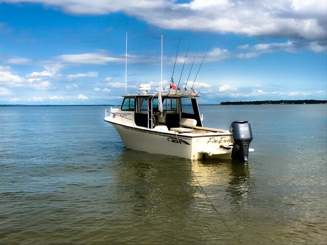 Listing image 162502