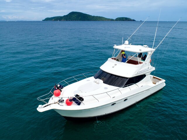 Listing image 164141