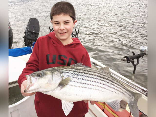 Listing image 164698