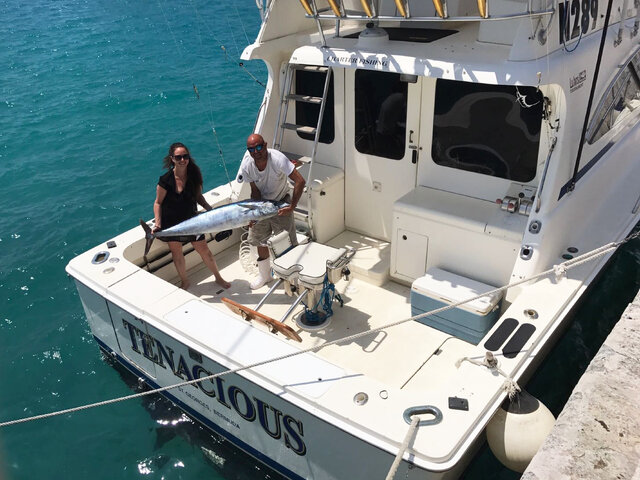 Listing image 206097