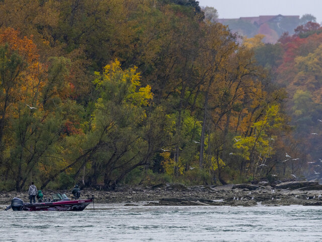 Listing image 963580