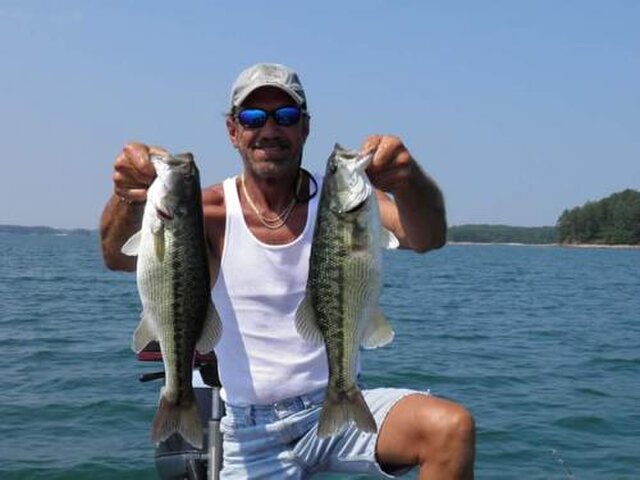 Listing image 268447