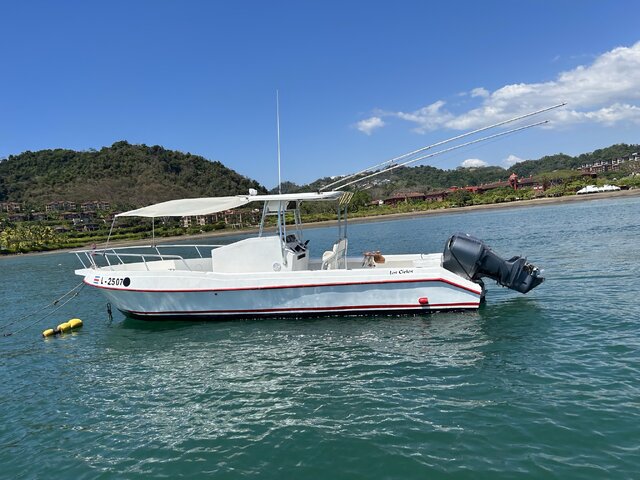 Listing image 954933