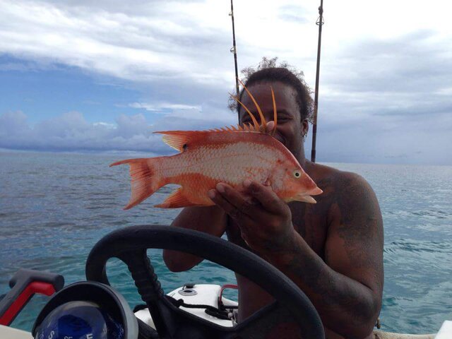 Listing image 173673