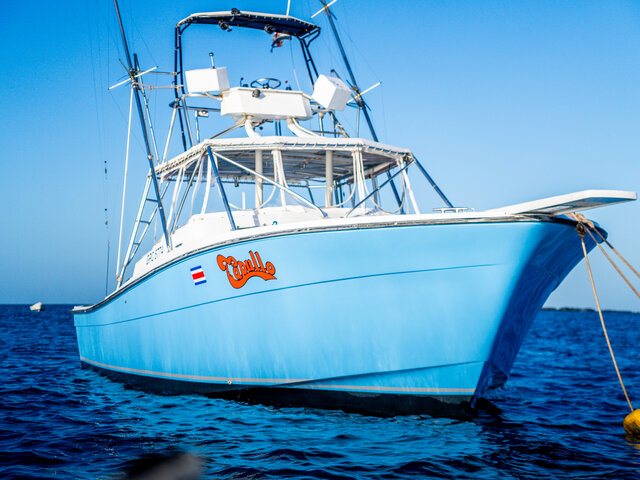 Listing image 989746