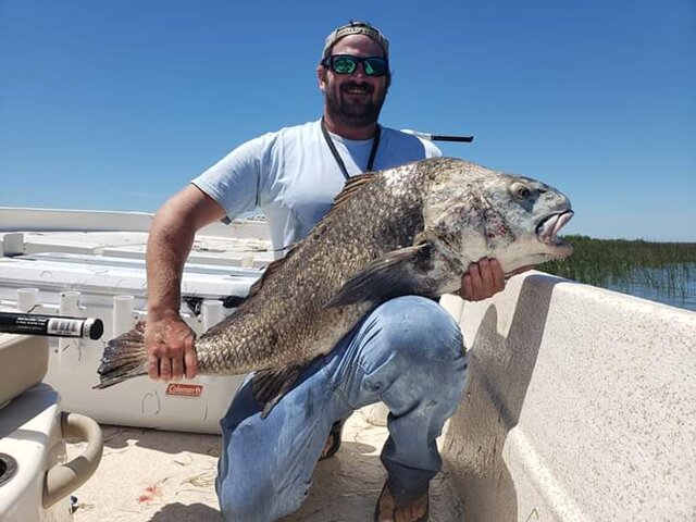 Listing image 343032