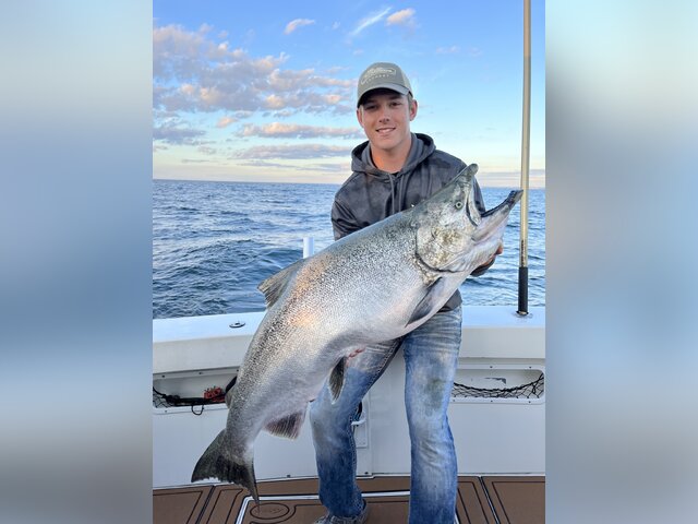 Listing image 786601