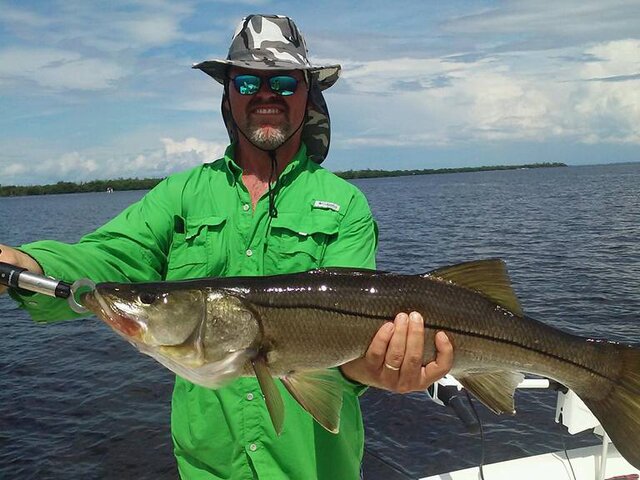 Listing image 182331