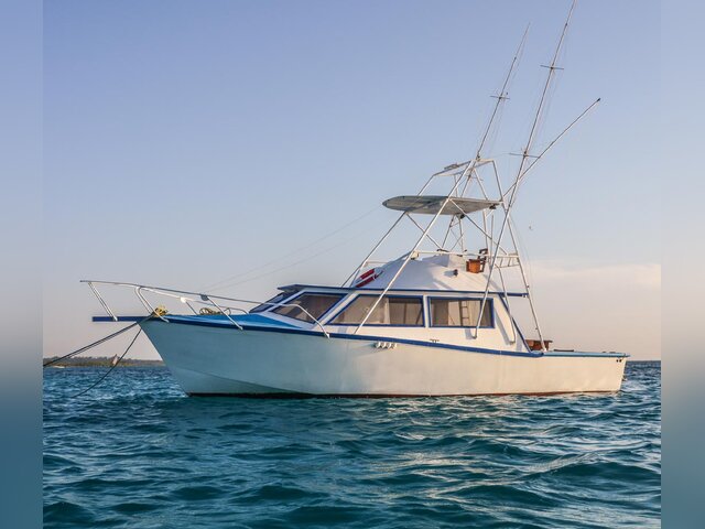 Listing image 178556