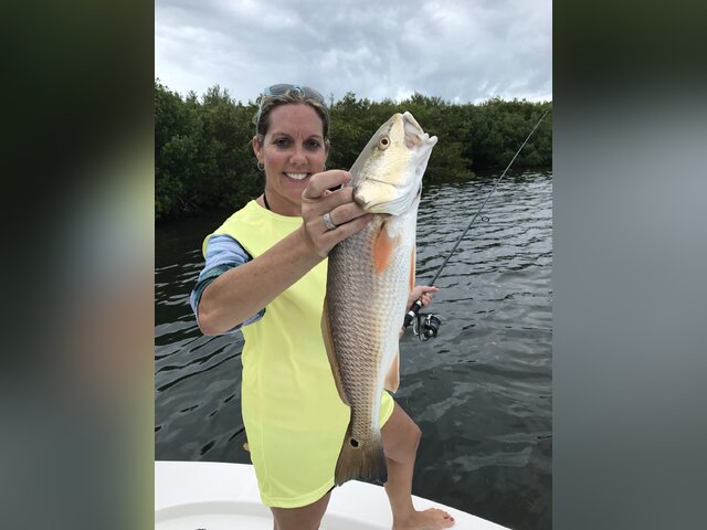 Listing image 180938