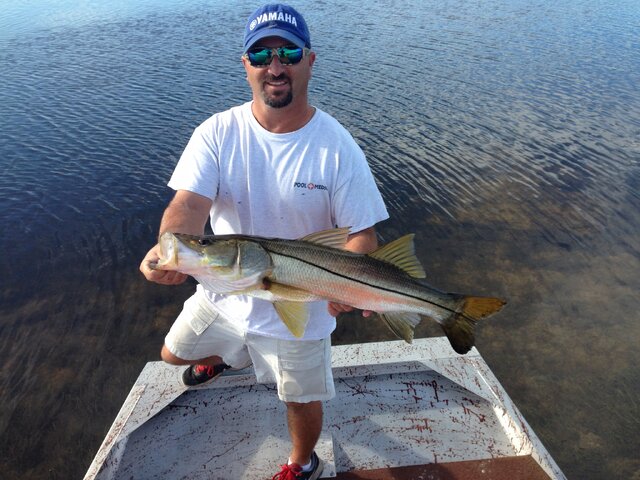 Listing image 179733