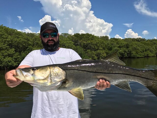 Listing image 180247