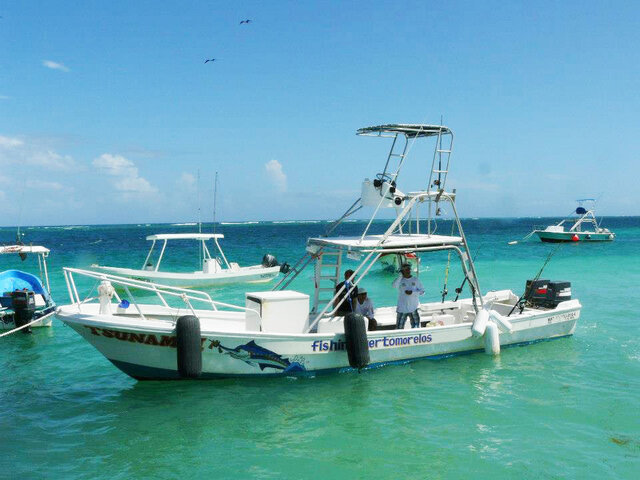 Listing image 211449