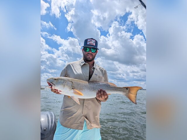 Listing image 1101101