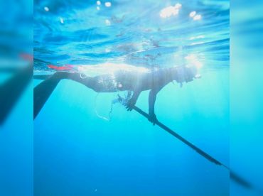 Easy Spearfishing – Queen Elizabeth thumbnail