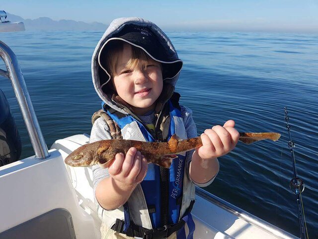 Listing image 184680