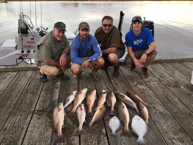 Listing image 186322