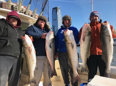 NYC Sportfishing Charters