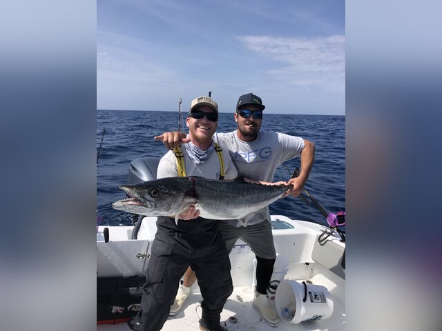 Listing image 959227