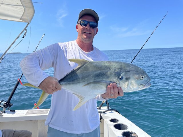 Listing image 854519