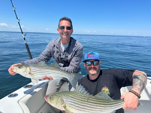 Listing image 1218295