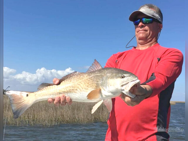 Listing image 268033