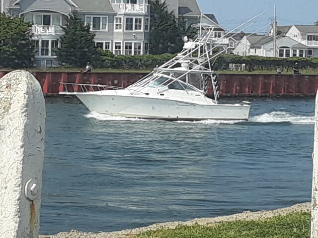 Listing image 1201825