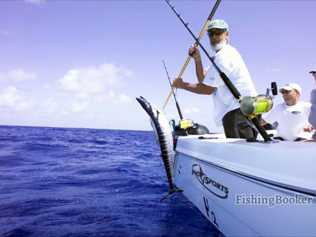 Listing image 276900