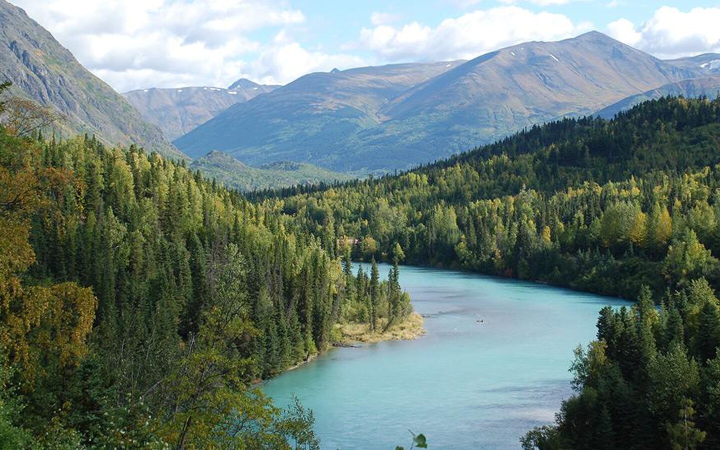 Kenai